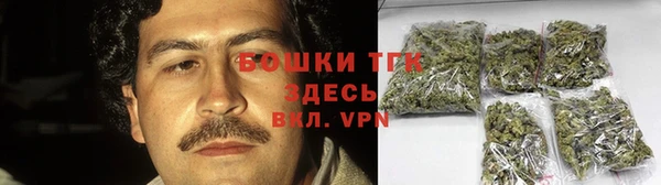 СК Гусев