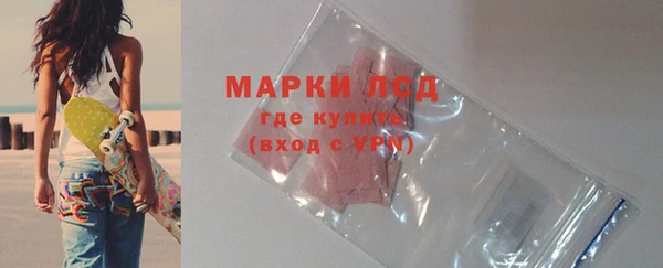 ГАЛЛЮЦИНОГЕННЫЕ ГРИБЫ Арсеньев