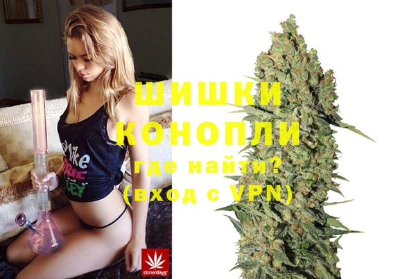 ГАЛЛЮЦИНОГЕННЫЕ ГРИБЫ Арсеньев