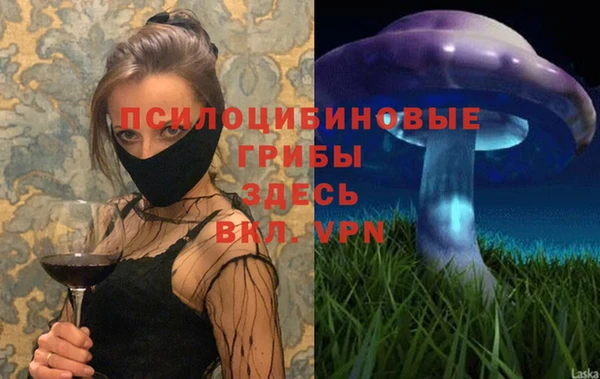 ГАЛЛЮЦИНОГЕННЫЕ ГРИБЫ Арсеньев