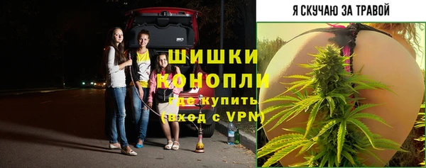 ГАЛЛЮЦИНОГЕННЫЕ ГРИБЫ Арсеньев