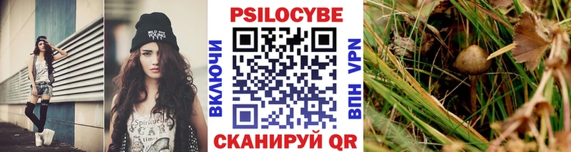 блэк спрут рабочий сайт  Новоалтайск  Псилоцибиновые грибы GOLDEN TEACHER  закладка 