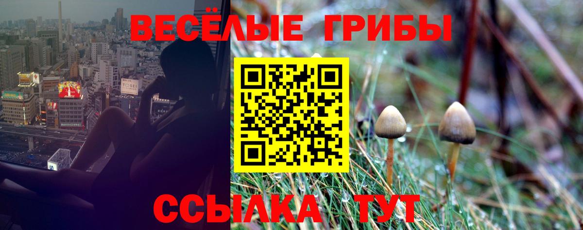 Псилоцибиновые грибы Magic Shrooms  Вход с VPN  Псилоцибиновые грибы Magic Shrooms  сколько стоит  Новоалтайск 